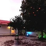 Avocado House 度假居 *