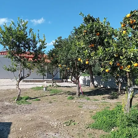 Avocado House Finikounta