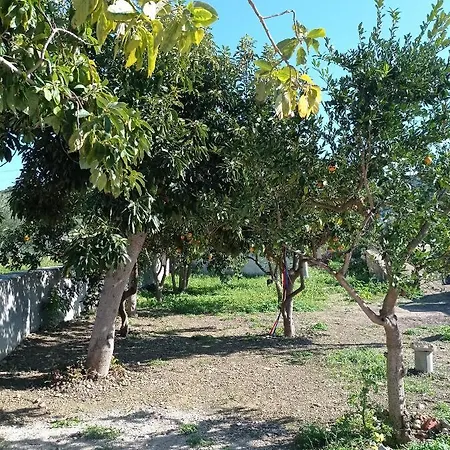 Avocado House * Finikounda