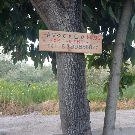 Avocado House