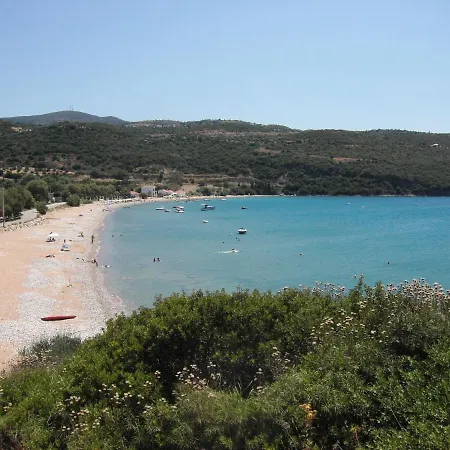 Avocado House * 菲尼孔塔