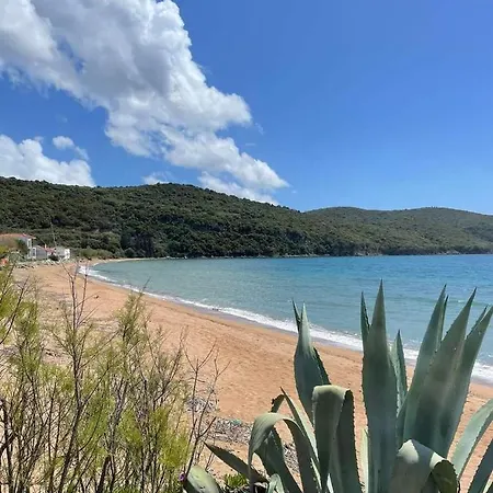 Avocado House Semesterbostad Finikounta