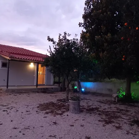 Avocado House *