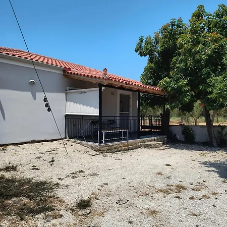 Avocado House