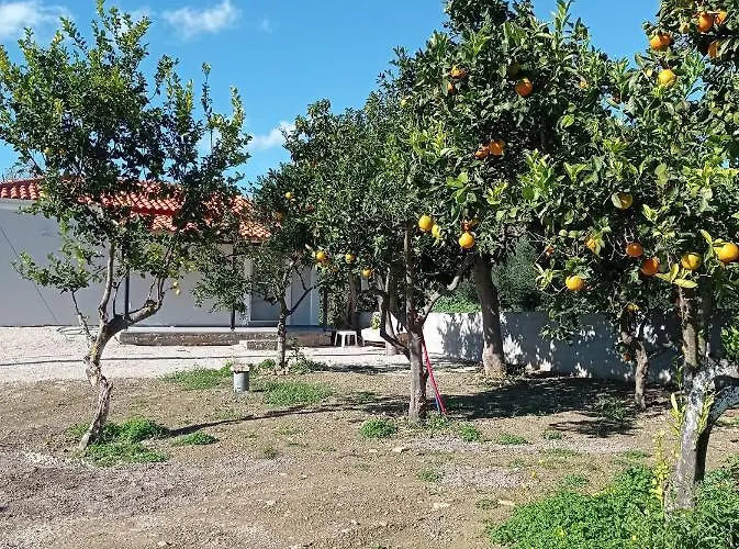 Avocado House Finikounta