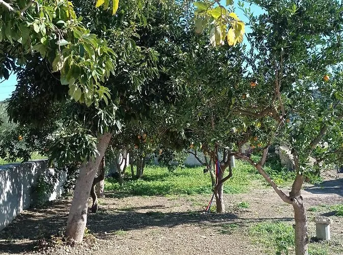 Avocado House * Finikounta