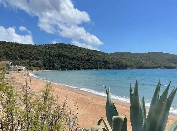 Avocado House Prázdninový dům Finikounda