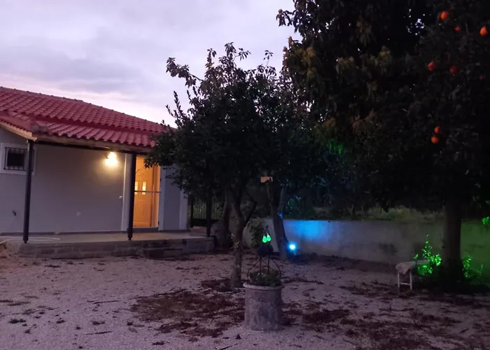 Avocado House *
