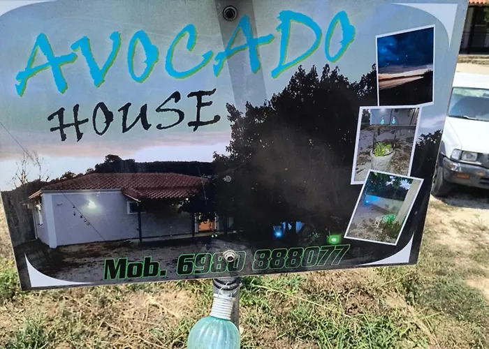 Avocado House Holiday home